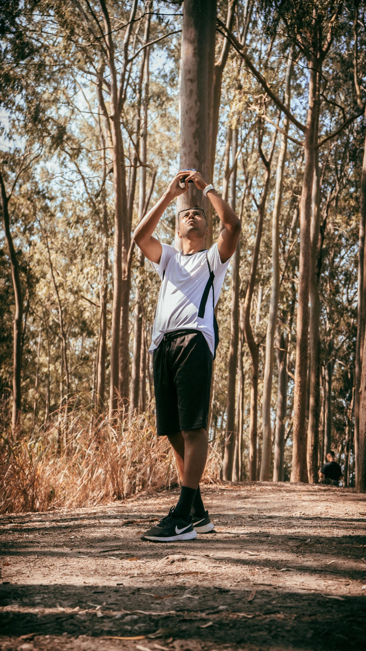 Un jeune homme portant une chemise blanche se tient sur un sentier ensoleillé en forêt, regardant vers le haut.